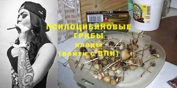 мет Осинники